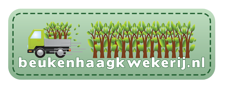Beukenhaagkwekerij