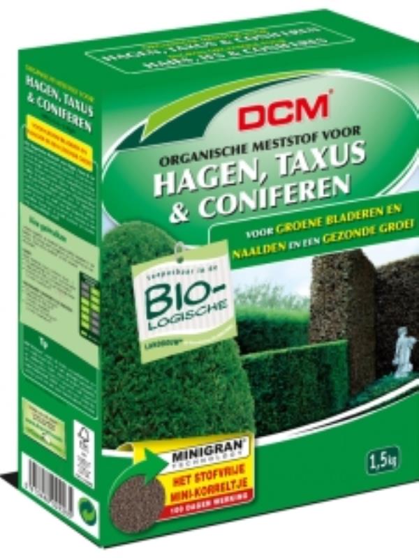 DCM Hagenmest